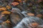 USA, Arizona. Close-up of stream rapids. Art Print